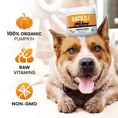 Pumpkin Powder for Dogs, Powdered Pumpkin for Dogs with Vitamins A, C & E, Fiber-Rich Vitamins for Optimal Pet Health, Combat Constipation, Dog Multivitamin for Digestive Health, 8.1 oz 30 Day Supply - PawsPlanet Australia