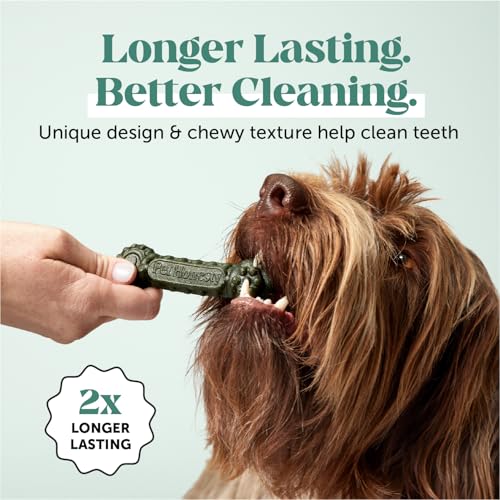 Pet Honesty Dog Wellness Virtual Bundle – Allergy Relief Immunity Chews (Salmon, 90 Ct) + Brush Buddies Dental Sticks for Extra Small Dogs (40 Ct) – Itch Support, Plaque & Breath Care