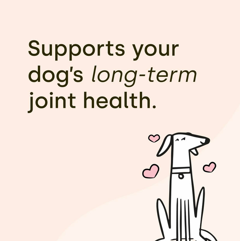 Scooch Joint & Mobility Chews for Dogs with Glucosamine, Chondroitin & MSM | Tasty Chew They Actually Eat, No Fishy Smell | Supports Stiff Hips & Mobility in Senior & Large Breeds | 60 Soft Chews