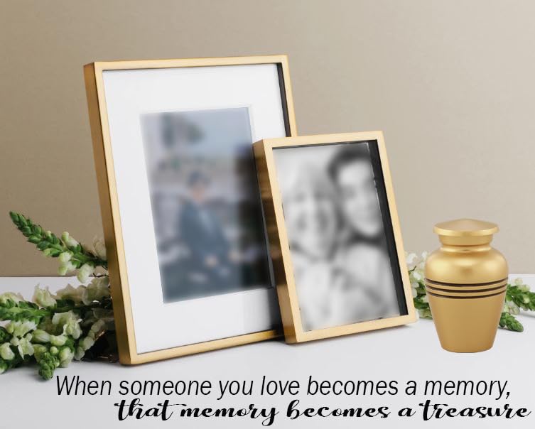 Immortal-Memories Serenity Keepsake Urn for Ashes - Miniature Urns - Mini Jar - Pet Urn - Token Urn with Velvet Bag (Gold) Gold-1 - BeesActive Australia