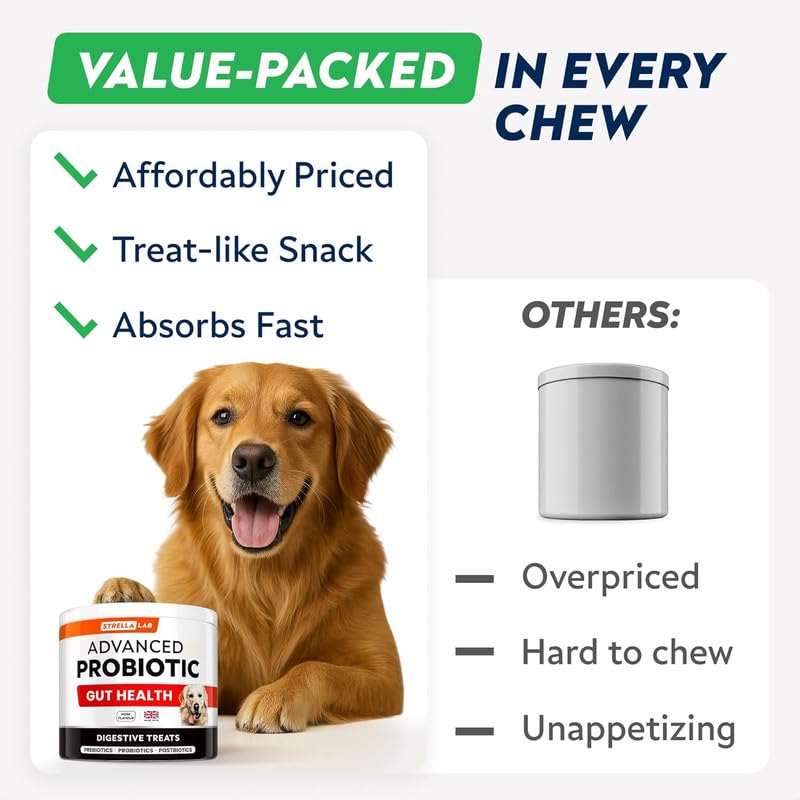 STRELLALAB Dog Probiotics for Gut Health & Digestive Enzymes Fiber Supplement - Anti Diarrhea, Constipation, Upset Stomach, Gas Relief - Digestion Treats Chews - 60 Count (Pack of 1) Chicken