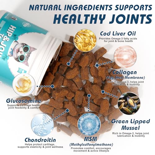 Bailey & Buddies Cat Hip & Joint Support and Probiotic Supplements Bundle