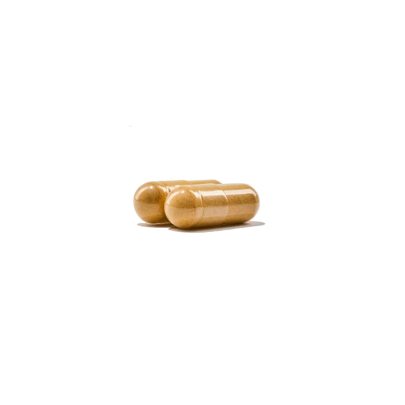 NatureWise Multivitamin for Men - Daily Male Support - Minerals & Herbs for Energy, Performance, Immunity - with Vitamin A, C, D, B-Complex - Soy & Gluten-Free, Non-GMO - 90 Capsules[45-Day Supply] Unflavored 90 Count (Pack of 1)