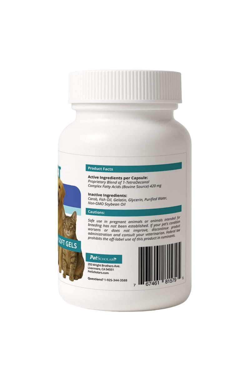 1TDC Dental & Joint Health Softgel Supplement for Dogs & Cats, Supports Oral Health, Stamina, Mobility, Muscle Strength & Recovery, Maintains Skin & Coat Health of Pets (120 Soft Gels) 120 Soft Gels