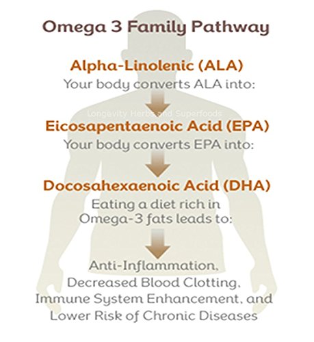 Marine Phytoplankton Powder Raw Omega 3 EPA Vegan ATP Energy Superfood 100 Grams (3.52 oz)