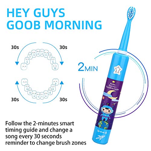 OJV 8620 Musical Electric Toothbrushes & 2 Pack Replacement Toothbrush Heads (Bule)