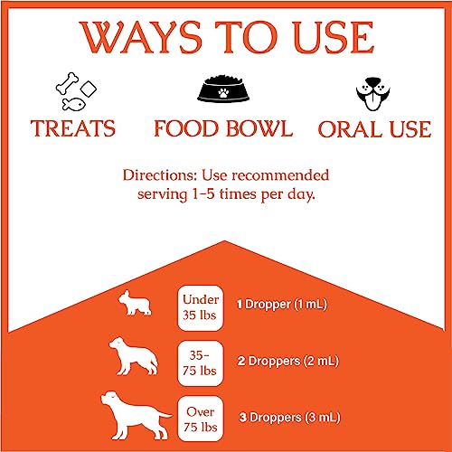 Natural Antibiotics for Dogs - Dog Antibiotics - Dog Ear Infection Treatment - Yeast Infection Treatment for Dogs - Dog Antibiotic - 1 fl oz - Bacon Flavor