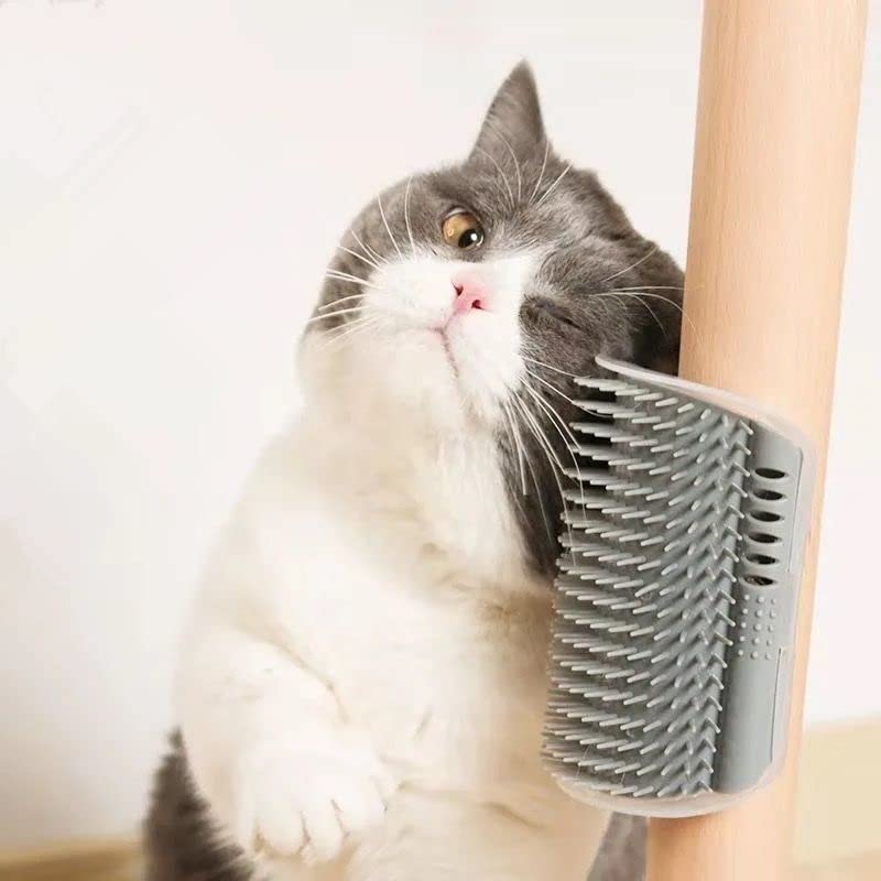 6 Pack Cat Self Groomer with Catnip Pouch Wall Corner Groomers Cat Face Scratcher Pet Grooming Brush Massage Combs for Cats Fur Pets Dog Kitten Puppy(Black & Gray) 3 Grey+3 Black - PawsPlanet Australia