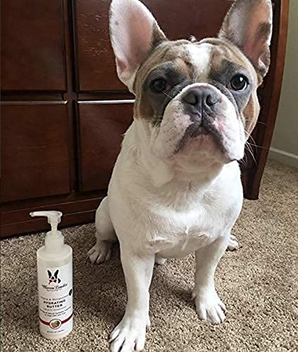 Warren London Hydrating Butter Leave In Pet Conditioner for Dogs | Lotion Skin and Coat Aloe Puppy & Dog Hair Detangler, Dry Skin, Fur Dandruff Use After Shampoo Bathing Made in USA Guava 8oz Guava - 8oz - BeesActive Australia