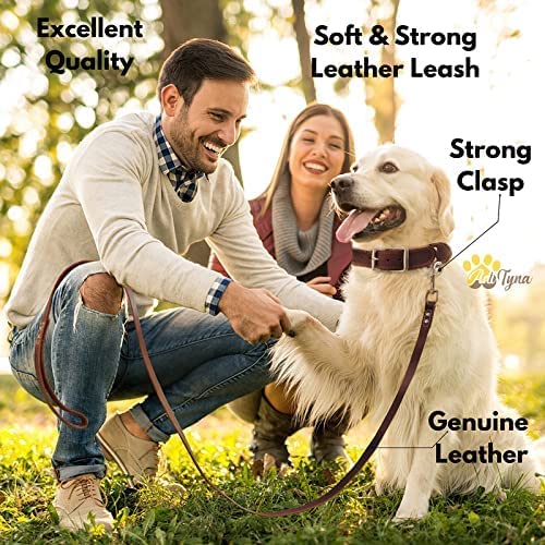 ADITYNA Leather Dog Leash 6 ft x 3/4 inch - Soft and Strong Leather Leash for Large and Medium Dog Breeds - Heavy Duty Dog Training Leash (Brown) L - 6 ft x 3/4 inch Brown - BeesActive Australia