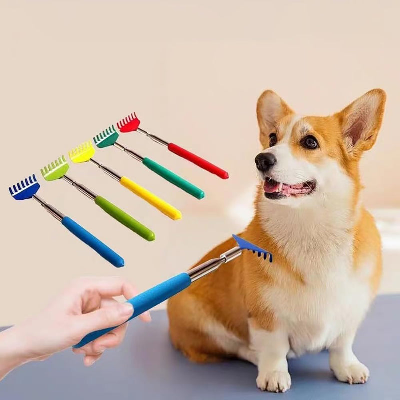 2 Pcs Cat Telescopic Teaser Wand Retractable Scratch Comb Tickle Scratcher Handy Interactive Play Toy for Cats Dogs (Random Color) Mixed - BeesActive Australia