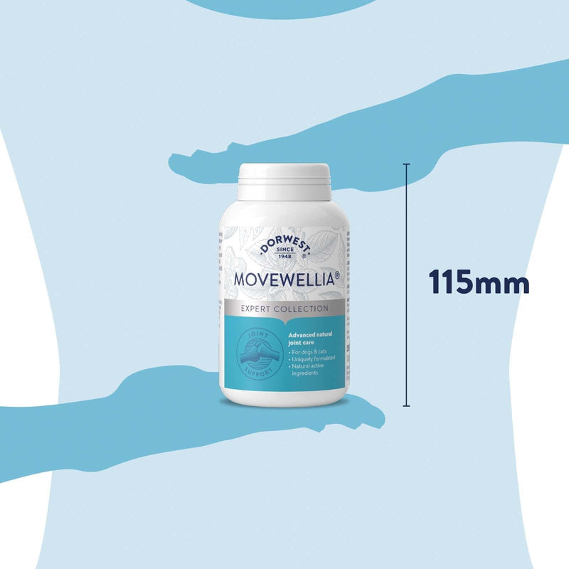 Dorwest Herbs MoveWellia Joint Care Supplement for Dogs and Cats - 200 Tablets - Natural Dog Supplements for Joint Discomfort with Boswellia, Chondroitin, Glucosamine and Celery Seed