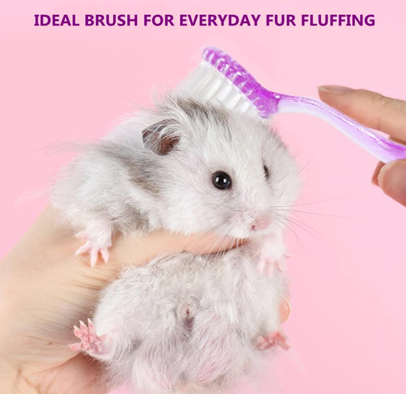 3PC Small Animal Bath Brush with Lid Soft Cleansing Brush Massage Combs for Hedgehog Guinea Pig Rabbit Chinchilla Ferret Small Animal Grooming Tool Cleaning Supplies - BeesActive Australia