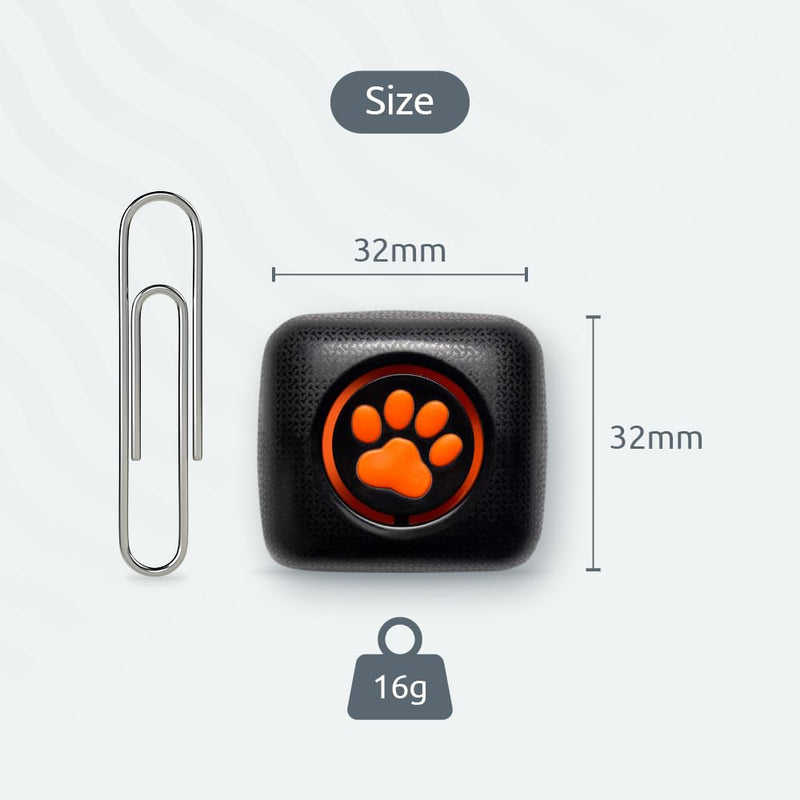 Pitpat - activity monitor for dogs - BeesActive Australia