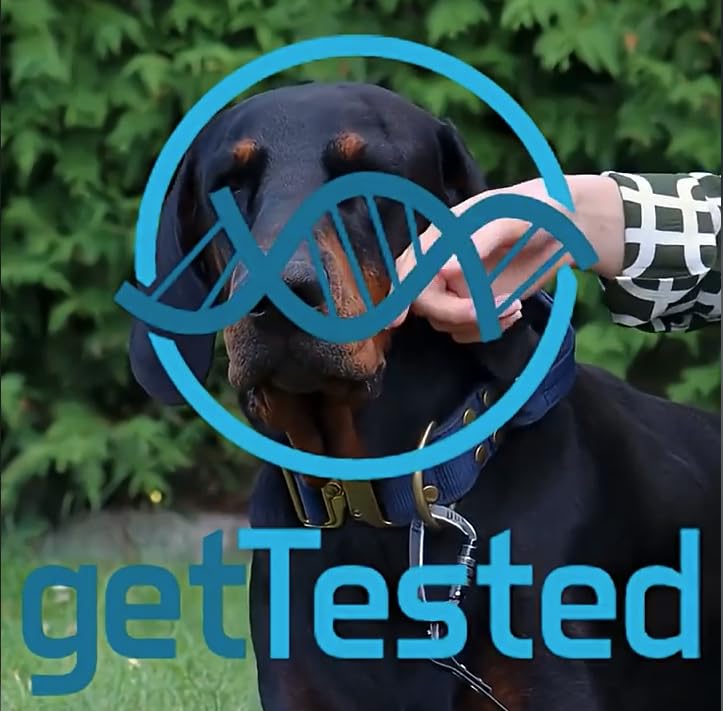 getTested Heartworm Test for Dogs – At-Home Rapid Test Kit, Detect Dirofilaria immitis, Fast Results, Easy to Use Pet Health Check