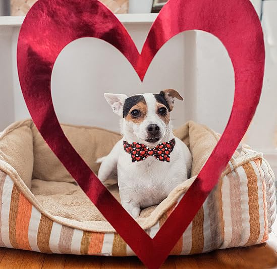 Lionet Paws Valentine's Day White Dog Collar, Cute Heart Black Dog Collar for Medium Dogs, Adjustable Cotton Love Pet Collars for Small Medium Dogs Medium (Pack of 1) Black Hearts - BeesActive Australia