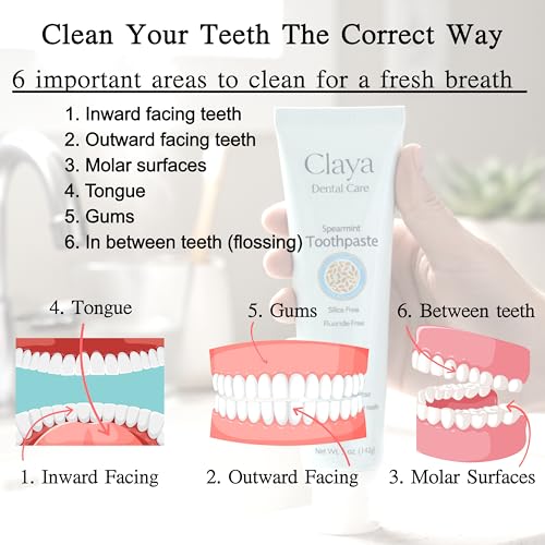 Natural Spearmint Toothpaste (2 Pack) - Fluoride-Free, Silica-Free, Enamel-Safe, SLS-Free, Gentle & Refreshing Oral Care 5 Ounce (Pack of 2)