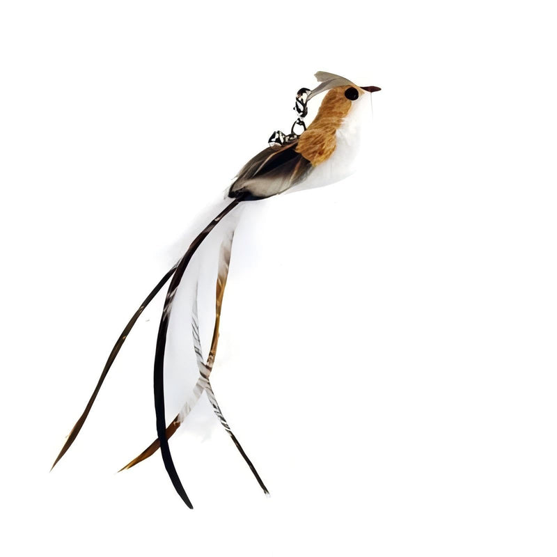 Interactive Suction Cup Cat Toy for Indoor Cat, Long Tail Feather Bird, Spring Wire Suctions to Ground, Hands Free Bird Simulation Cat Toy Wand Set that Sticks to Floor, Feathers & Bells LQZ Bird Set - BeesActive Australia
