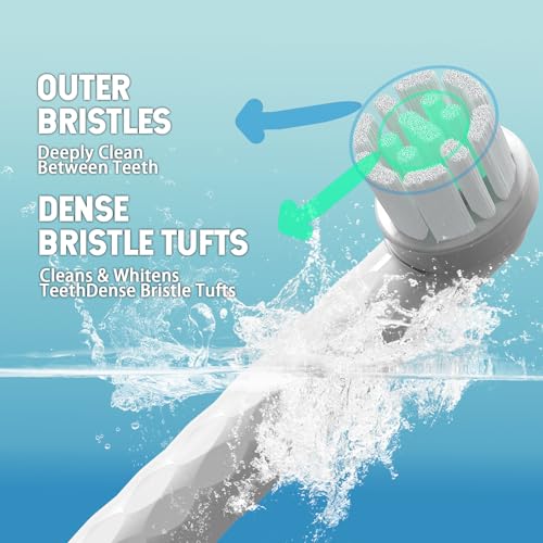 Replacement Heads for Quip Rev Oscillating Electric Toothbrush, White