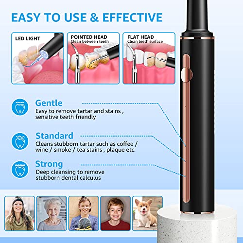 Plaque Remover for Teeth - Tartar Remover for Teeth with Dental Tools Black