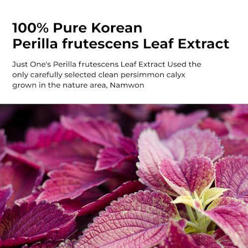 BOM Cosmetics Just One Perilla Frutescens Leaf Extract 5.07 Fl. Oz, Facial Toner with 100% Herbal Extract, Soothing Toner, Sensitive Skin, Vegan, Korean Skincare