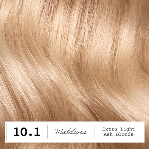 Clairol ColorStrong Permanent Hair Dye, Ammonia‑Free, PPD‑Free, 100% Gray Coverage with Bonding System, 10.1 Extra Light Ash Blonde – Maldives Hair Color, Pack of 2 10.1 엑스트라 라이트 애쉬 블론드 6.6 Fl Oz (Pack of 2)