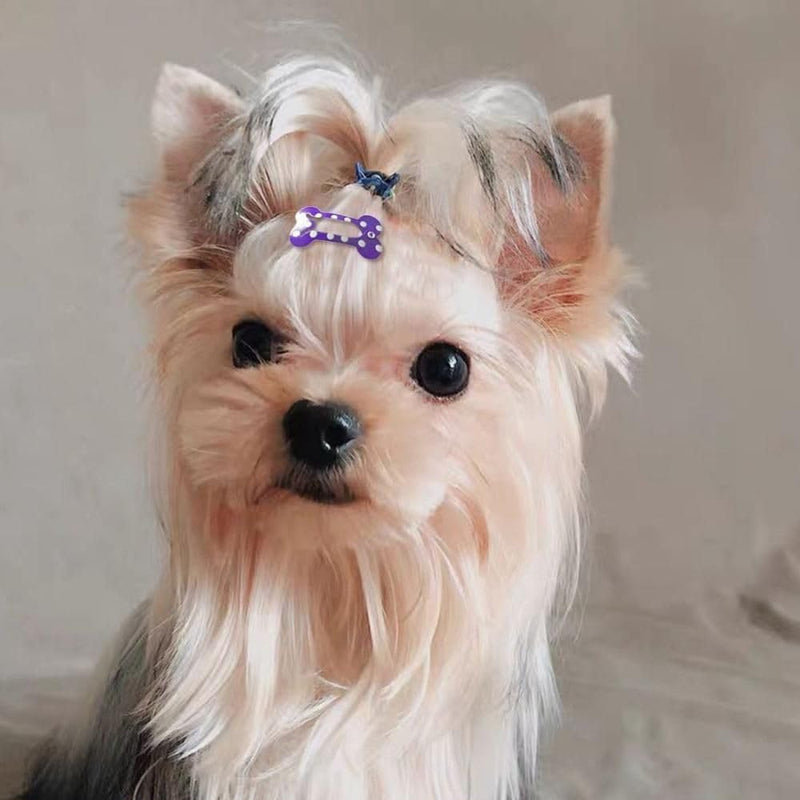 5 Pcs Dog Hair Clips Mini Bone Snap Dog Barrette Small Snap Hair Clips Pet Hair Barrettes Pet Hairpin Dog Hair Accessories Pet Supplies (Rose Red) Rose Red - BeesActive Australia