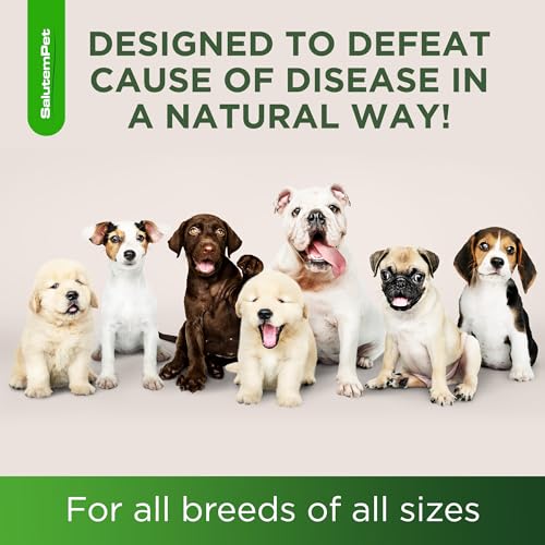 Natural Antibiotics for Dogs and Puppies – Antibiotics for Dogs of All Ages – Herbal Ingredients – Helps with Allergies and UTIs – for Balanced Digestion – Joint Care – Bacon Taste – 2 Oz 2 Fl Oz