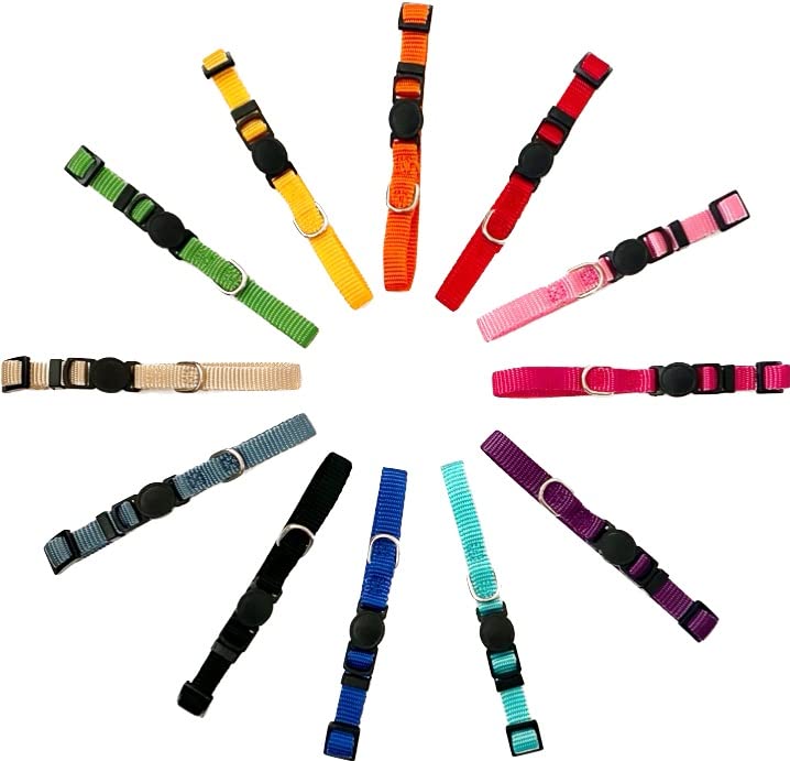 Simply Products Set of 12 Puppy/Kitten Collars / Adjustable/ Circle Quick Release Small / Classic Dog Collar / cat Collar / Compatible with leashes
