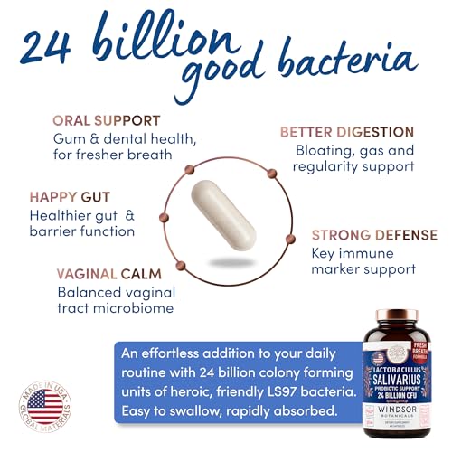 WINDSOR BOTANICALS Lactobacillus Salivarius Probiotic Capsules - L Salivarius Probiotic Oral Dental Probiotics for Bad Breath, Teeth and Gums Health and Immune Support - 24bn CFU, 2-Pack 120 Caps 60 Count (Pack of 2)