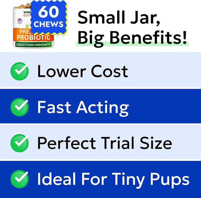 BARK&SPARK Vet Strength Dog Probiotics for Gut Health & Digestive Enzymes - Gas, Diarrhea, Constipation Chewables - Allergies Itchy Skin - Dogs Digestive Health - 60 Count (Pack of 1) Unflavored