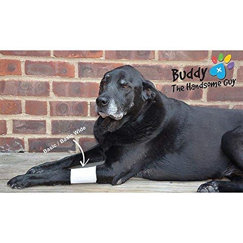 Basic leg bandages for dogs, cats, pets -First- aid non adhesive fur friendly, soft stretch wound care, hot spots, fungus, ADJUSTABLE FASTENING STRAP Value pack (2XS/XS 12-Pack) 2XS/XS 12-Pack - BeesActive Australia