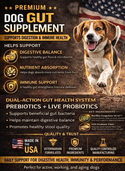 Braveheart K9 Gut & Immunity Care Dog Supplement, Veterinarian Formulated, Dual Action Prebiotic & Probiotic System, Fortified Soft Chew, 160 Count