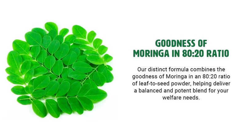 Moringa Oleifera Leaf and Seed Powder (80:20) Ratio 180 Capsules, 90 Servings, 1000 mg. Malunggay Leaf and Seed Powder, Green Superfood. Pack of 2.