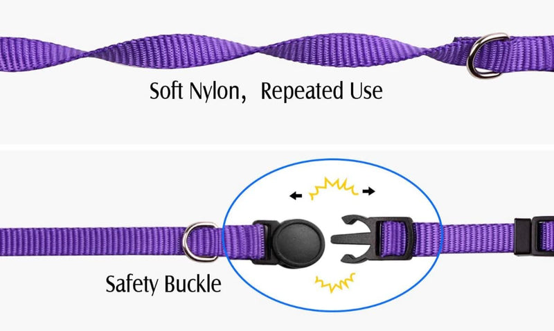 Simply Products Set of 12 Puppy/Kitten Collars / Adjustable/ Circle Quick Release Small / Classic Dog Collar / cat Collar / Compatible with leashes
