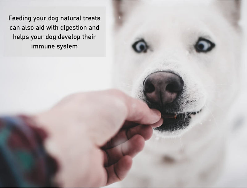 Maltbys' Stores 500g Luxury Fish Calming Treats for Dogs with Hemp & Chamomile 100% Natural Fish Dog Treat Chews