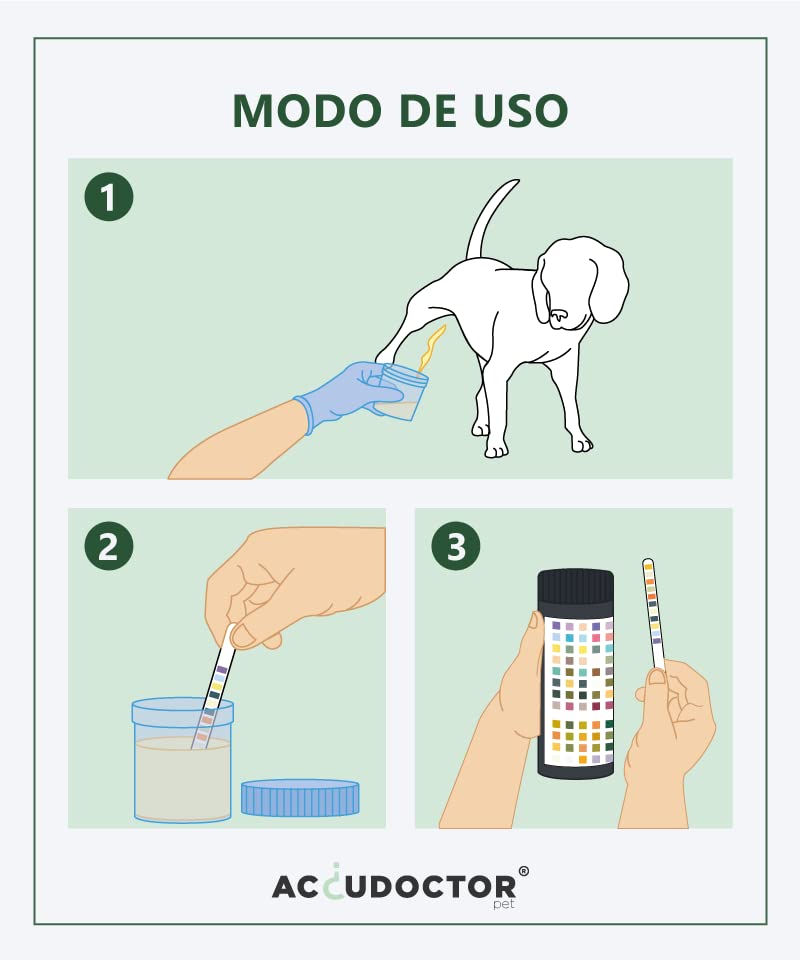 100 Accudoctor Urine test Strips for Dogs Cats 11 parameters Ketones Glucose pH sample canine urinalysis Urine Health step analyzer veterinary health urinary analysis renal one strip treatment uti pet