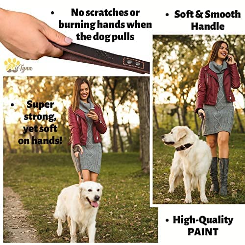 ADITYNA Leather Dog Leash 6 ft x 3/4 inch - Soft and Strong Leather Leash for Large and Medium Dog Breeds - Heavy Duty Dog Training Leash (Brown) L - 6 ft x 3/4 inch Brown - BeesActive Australia