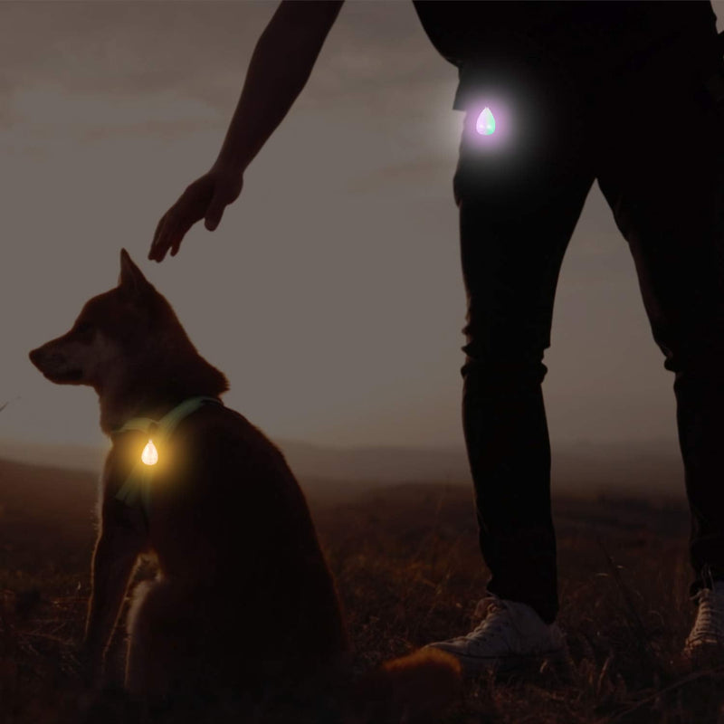 Novkin Rechargeable 2 Pack Dog Light, Waterproof LED Dog Collar Light Attach to Collar, Leash or Harness，Safety Light for Night Hiking, Camping White Orange - BeesActive Australia