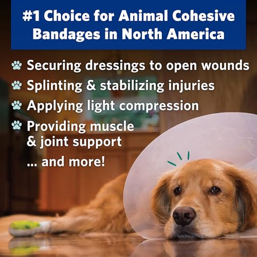OVIK Health PetFlex Paw Pack – Flexible Self-Adhering Elastic Bandage for Wound Care – First Aid Wrap for Small Animals Like Dogs, Cats, and Other Pets - 2 inch, 36 Rolls Paws Variety Pack 36 Count