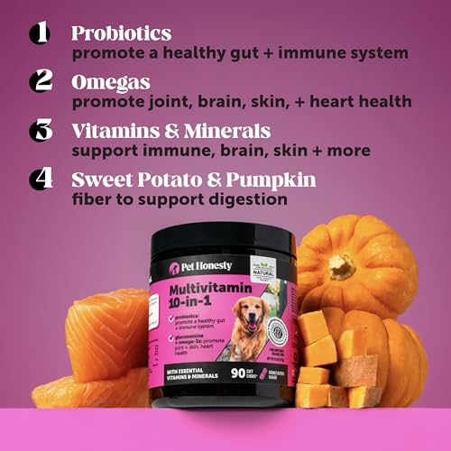 Pet Honesty Dog Wellness Virtual Bundle – 10-in-1 Multivitamin Supplement (Chicken, 180 Ct) + Brush Buddies Dental Sticks for Medium Dogs (15 Ct) – Daily Health & Dental Support
