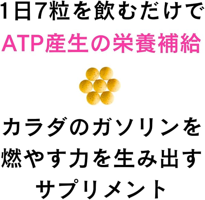 Miura Takuya Shoten Ketogenic ATP Production Boost Supplement 140 Tablets B Vitamins Carnitine Magnesium Iron Zinc Diet Supplement - BeesActive Australia
