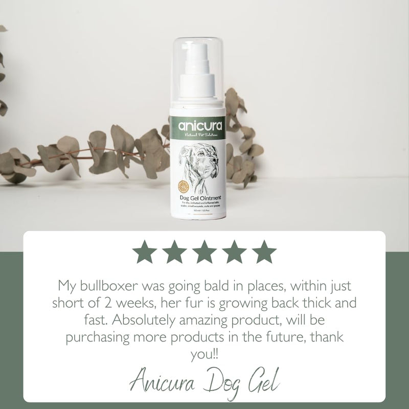 Anicura Dog Skin Ointment – soothes dry, itchy skin, hot spots, eczema & allergies. Reduces scratching & licking. Gentle for sensitive dogs. Value bundle (2 x 100ml Pack)
