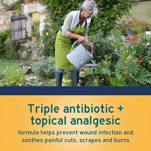 Neosporin + Pain Relief Dual Action Triple Antibiotic Ointment, 0.5 oz 0.5 Ounce