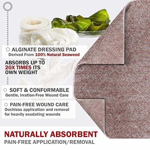 EVERLIT AG Silver Calcium Alginate Wound Dressing | Absorbent Non-Stick Sterile Dressing Pad | Gentle Gauze with Natural Gelling Fiber for Wound Care 4" x 4" | Pack of 5
