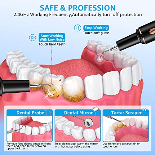 Plaque Remover for Teeth - Tartar Remover for Teeth with Dental Tools Black
