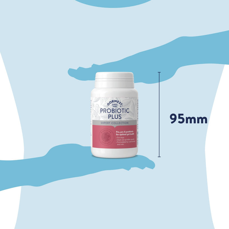 Dorwest Herbs Probiotic Plus for Dogs 100 Capsules, Pre, Pro and Postbiotic with Daily Microbiome Support for Optimal Gut Health