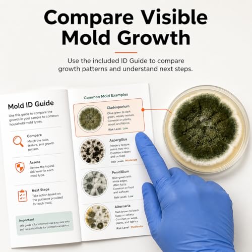 Varify Mold Test Kit for Home Air Quality | Air Quality Test Kit & Black Mold Detector for Home | 6-Petri-Dish Indoor Airborne Spore Sampler | Easy-to-Use with Clear Instructions & ID Booklet 6 Pack