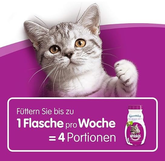 Whiskas Cat Milk x 200ml pack of 6