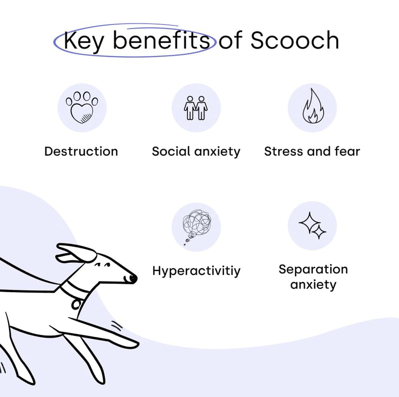 Scooch Calming Dog Treats – The Calming Chew Fussy Dogs Actually Eat | Helps Support Calm for Fireworks, Travel & Time Alone | with Ashwagandha, Valerian, Hemp & Chamomile | 60 Chews